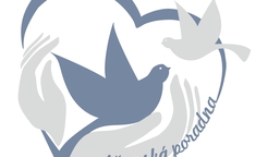 Krizová dluhová situace. Odrazový můstek k chudobě