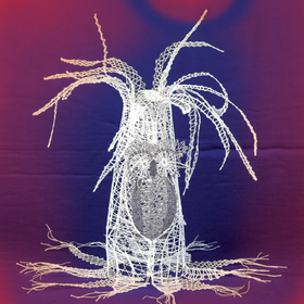 Výroční zpráva 2003