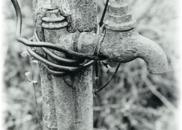 Petr Falešník, Fotografie