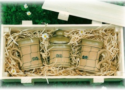 Renata a Jaroslav Crlovi, Kampanela