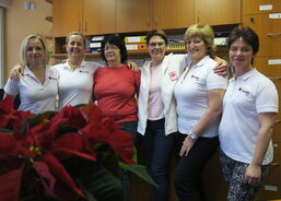 Tým terénní domácí péče 2018