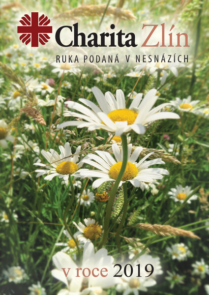 #procpomahat. Odpovědi nabízí Výroční zpráva Charity Zlín 2019