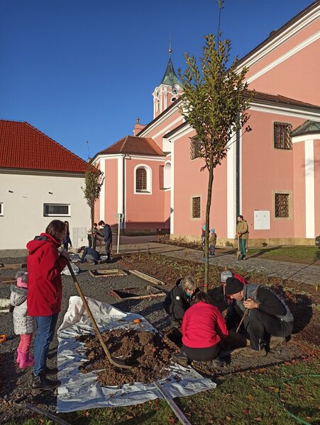 Charita Zlín, hrdý Patron stromu v poutním centru Štípa