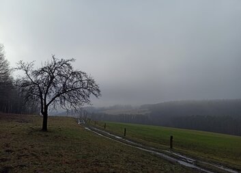 Nastavit druhým hranice? Někdy docela těžký úkol aneb díky vám, chariťáci