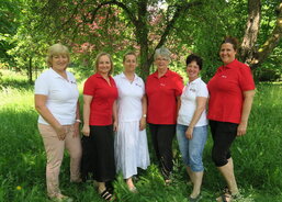 Tým terénní domácí péče