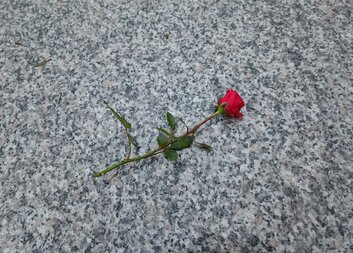 Děti nosily babičce růže, protože je měla ráda. A nosit je budou pořád. Jen na jiné místo