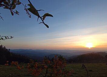 Jsem stále na cestě ...
