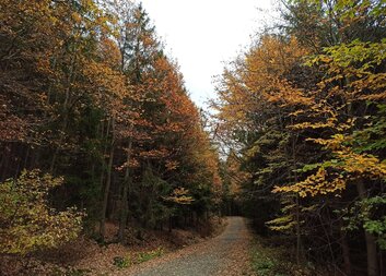 Není důležité, jak velký majetek člověk měl, ale zda potkat jej na cestě, bylo radostí