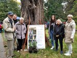 Sad Svobody a Stromové slavnosti. "Zase něco, co jsme ještě nikdy nezažili," shodli se uživatelé