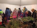 Floristická dílnička - vánoční dekorace pro Kristýnku