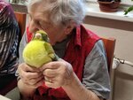 Dnes za zpěvem ptáků ven senioři nemuseli. Zvuky z říše zvířat a jiné přírodní zajímavosti přišly za nimi