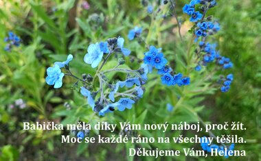 Domovinka-centrum denních služeb pro seniory Zlín