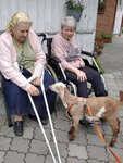 Domovinka květen 2024, Kozlík Fido šel z náruče do náruče, a to doslova 