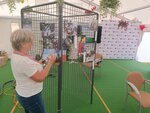 Hosté Charity na Dnech lidí dobré vůle vybrali nejlepší královské foto. Zaujal večerní snímek z roku 2022