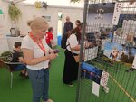 Hosté Charity na Dnech lidí dobré vůle vybrali nejlepší královské foto. Zaujal večerní snímek z roku 2022