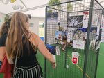 Hosté Charity na Dnech lidí dobré vůle vybrali nejlepší královské foto. Zaujal večerní snímek z roku 2022