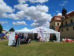 Hosté Charity na Dnech lidí dobré vůle vybrali nejlepší královské foto. Zaujal večerní snímek z roku 2022