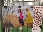 Hosté Charity na Dnech lidí dobré vůle vybrali nejlepší královské foto. Zaujal večerní snímek z roku 2022