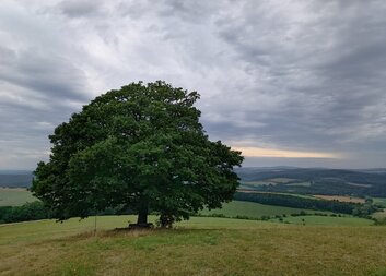 ´V čase stáří mě neopouštěj´ (srov. Žl 71,9). Téma zvolené Svatým otcem u příležitosti Světového dne prarodičů a seniorů má za cíl upozornit na osamělost v životě mnoha starších lidí