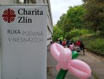 Zahradní slavnost 