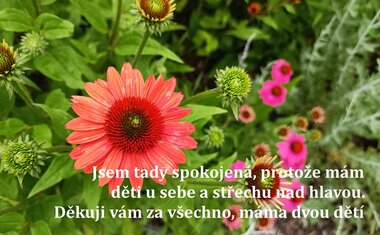 Charitní domov pro matky s dětmi v tísni Zlín