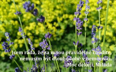 Charitní ošetřovatelská služba Zlín, domácí péče