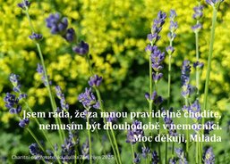 Charitní ošetřovatelská služba Zlín, domácí péče