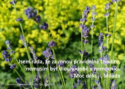 Charitní ošetřovatelská služba Zlín, domácí péče