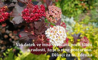 Charitní pečovatelská služba Zlín