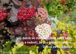 Charitní pečovatelská služba Zlín