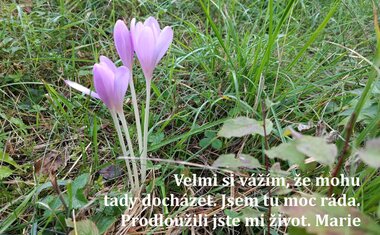 Domovinka-centrum denních služeb pro seniory Zlín