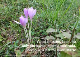 Domovinka-centrum denních služeb pro seniory Zlín