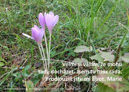 Domovinka-centrum denních služeb pro seniory Zlín