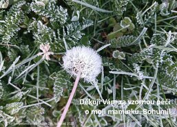 Charitní pečovatelská služba Zlín