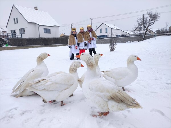 Klára, Jakub a Tereza, Sazovice