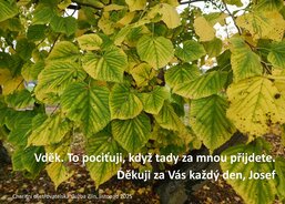 Charitní ošetřovatelská služba Zlín, domácí péče