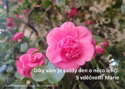 Charitní pečovatelská služba Zlín