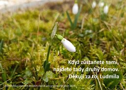 Domovinka-centrum denních služeb pro seniory Zlín