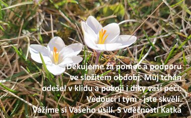 Charitní pečovatelská služba Zlín