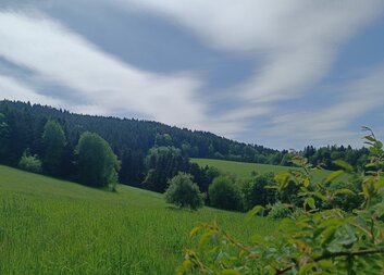 "Vzali Pána z hrobu, a nevíme, kam ho položili." Petr se zvedl a spolu s tím druhým učedníkem vyrazili k hrobu (Jan 20,2-3)